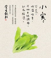 掌生谷粒的24节气文案，每一句都好好味